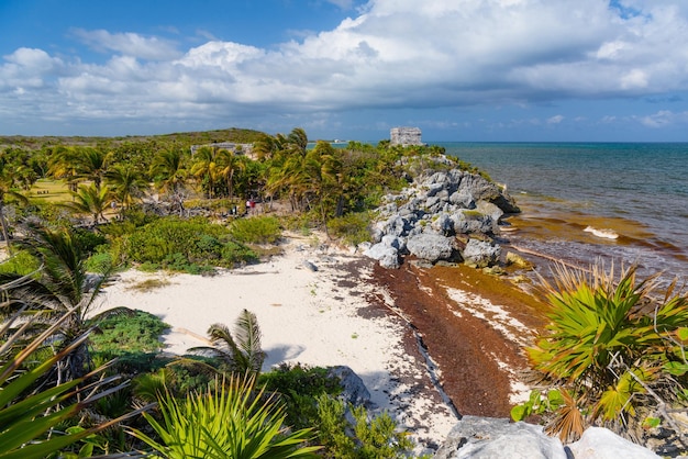 Biała piaszczysta plaża ze skałami i wodorostami Ruiny Majów w Tulum Riviera Maya Jukatan Morze Karaibskie Meksyk