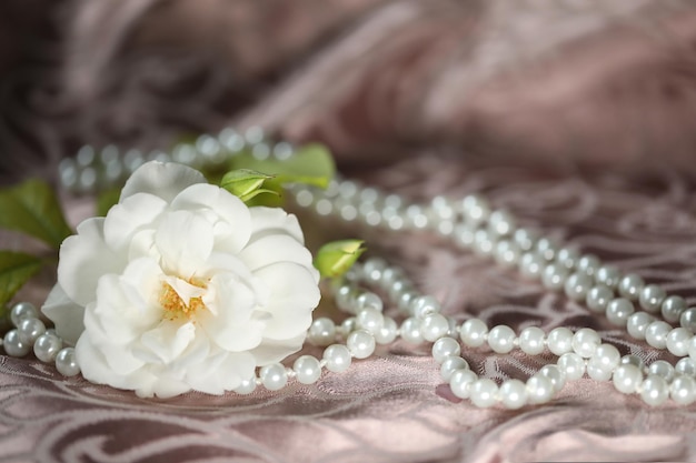 biała piękna róża z perłami na różowym tle. romantyk. skopiuj miejsce