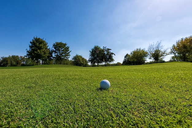 Biała piłka golfowa na zielonym trawniku z trawą w pobliżu drzew w lecie