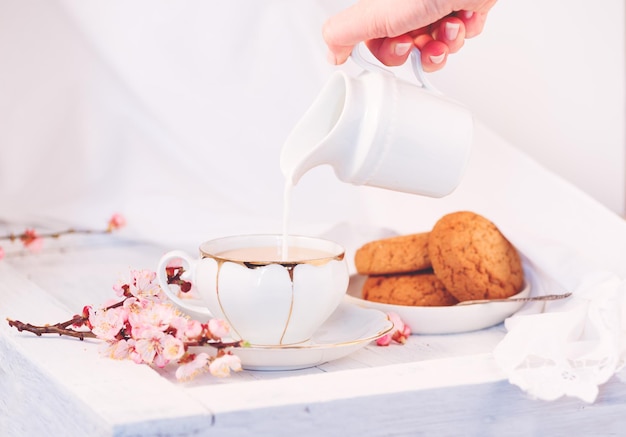 Biała porcelanowa filiżanka herbaty z mlekiem i świeżo upieczone ciasteczka owsiane Angielskie śniadanie martwa natura z napojem, smakołykami i obrusem
