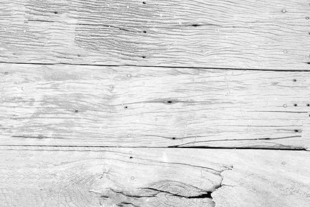 Biała powierzchnia drewna naturalnego tekstury tła