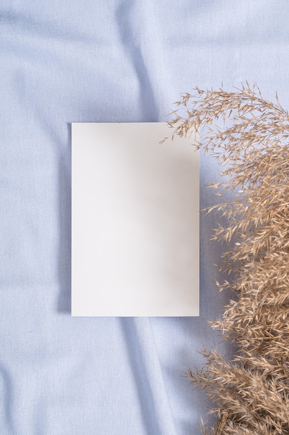 Biała pusta papierowa makieta z suchą trawą pampasową na niebieskim neutralnym kolorze tkaniny