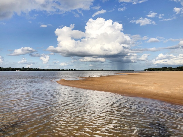 Biała Rzeka Boa Vista Roraima Północna Brazylia