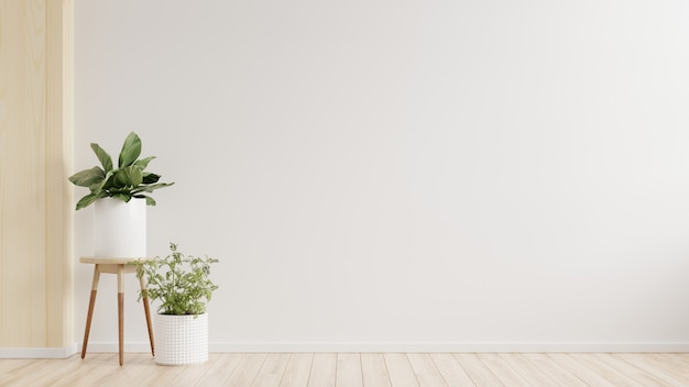 Biała ściana pusty pokój z roślinami na podłodze, renderowanie 3d