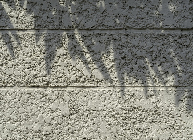 biała zewnętrzna ściana cementowa szorstka powierzchnia i cień liści Nierówna tekstura