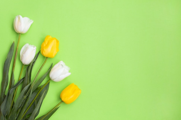 Białe i żółte tulipany na zielono.