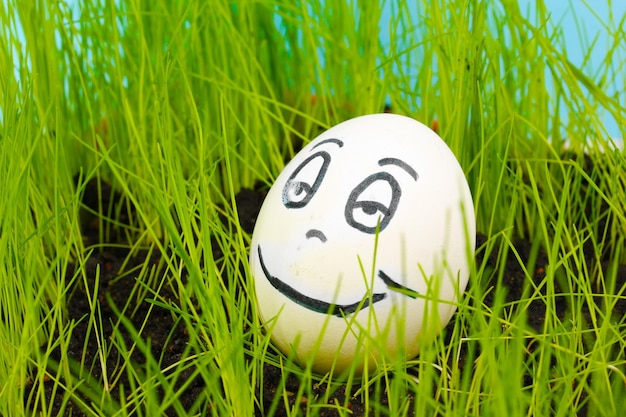 Białe jajko z śmieszną twarzą w zielonej trawie