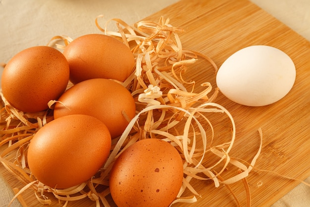 Białe jajo kurze obok grupy brązowych jaj
