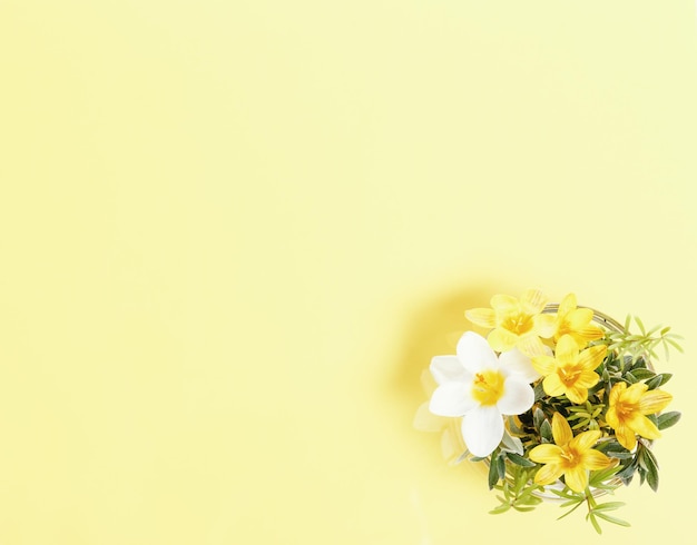 Białe Kwiaty Na żółtym Tle Kwitnąca Koncepcja Płaska świecka