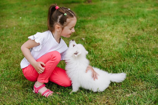 Białe psy Pomsky Puppy bawią się z małą dziewczynką na świeżym powietrzu w parku