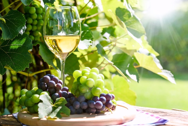 Białe wino w kieliszku i kiść świeżych winogron na tle rustykalnej winnicy i promieni słonecznych