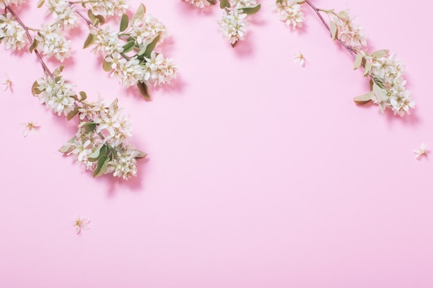 Białe wiosenne kwiaty na różowej powierzchni papieru