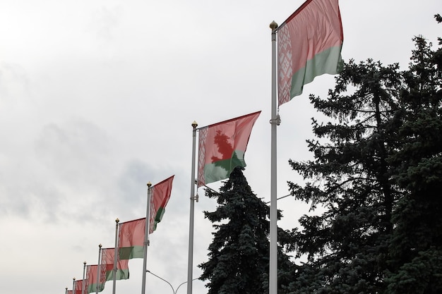 Białoruskie flagi na masztach na tle nieba