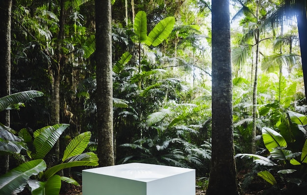 Biały cokół w lesie tropikalnym do prezentacji produktu Za nim widać niebo.