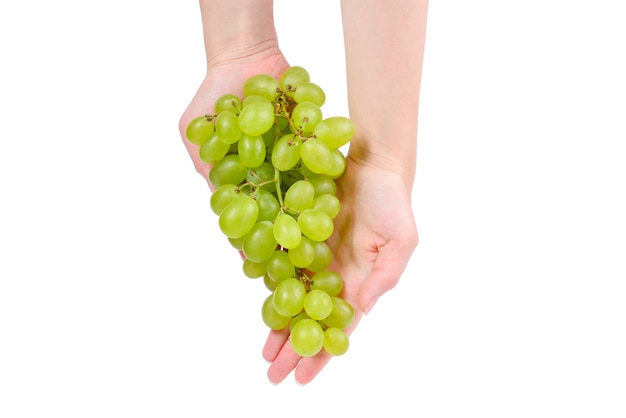 Biały kiść winogron w ręce na białym tle
