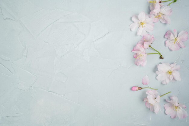 Zdjęcie biały kwiat wiśni na szarym tle pocztówkowa wiosenna tapeta