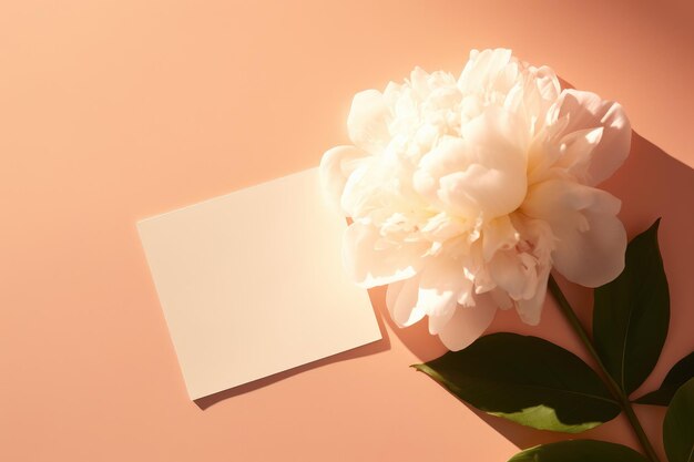 biały kwiat z pustą kartką