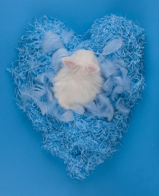 Biały pies śpi w niebieskim sercu z pierzastym wzorem.