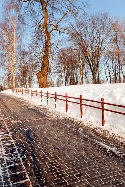 Biały śnieg Leżący Na Ziemi W Zimie