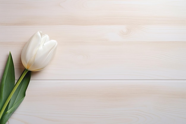 biały tulipan na drewnianym stole w stylu vintage, estetyczny widok z góry