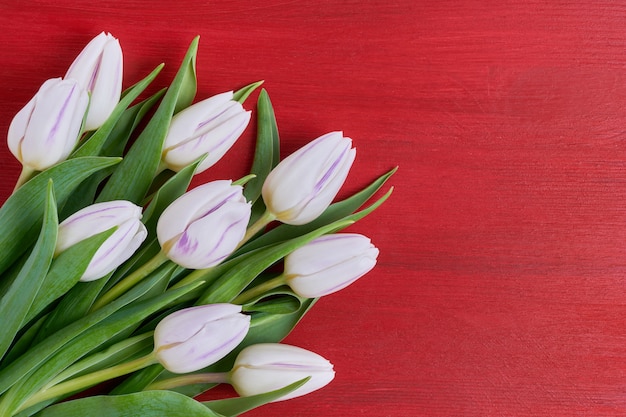 Biały tulipanu bukiet na czerwonym drewnianym tle.