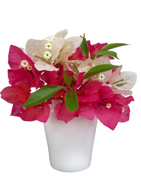 Biały wazon z różowymi i białymi kwiatami.