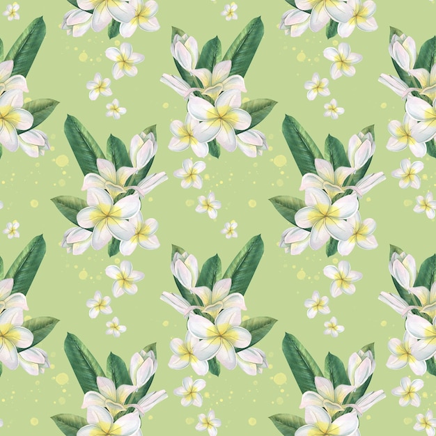 Biały z żółtymi kwiatami i zielonymi liśćmi frangipani plumeria na zielonym tle Akwarela ilustracja Jednolity wzór do pakowania papieru do pakowania tapet tekstylnych z tkaniny