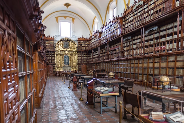 Biblioteka świata Puebla Meksyk Książek