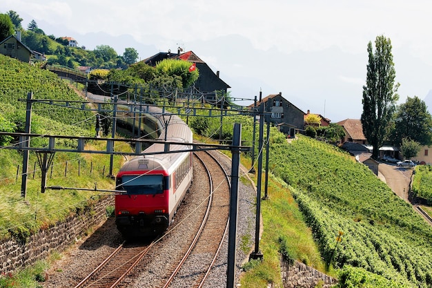 Bieg pociągu na szlaku turystycznym Lavaux Vineyard Terraces, dzielnica Lavaux-Oron, Szwajcaria