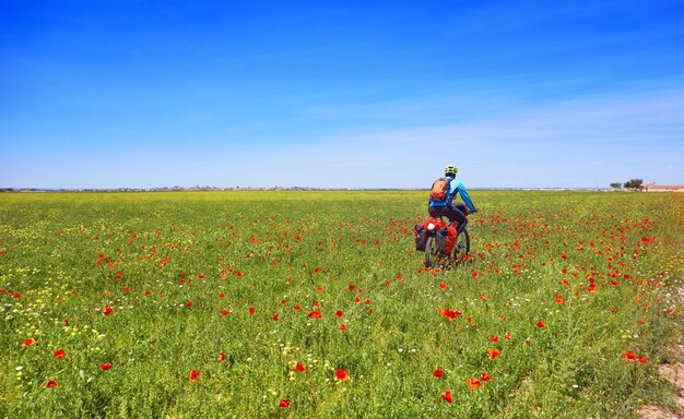 Biker by Camino de Santiago w rowerze