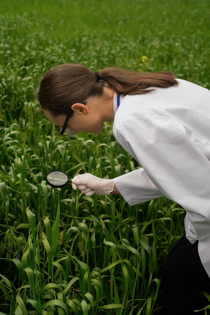 Biolog kobieta w okularach i studiująca rośliny botaniczne w przyrodzie z lupą Bot