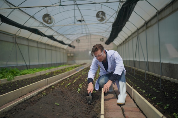 Biolog Właściciel hydroponicznej farmy warzywnej w szklarni sprawdzającej jakość ekologicznych warzyw