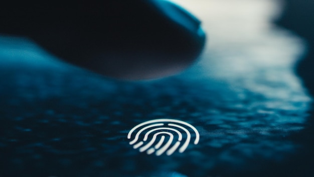 Biometryczny skaner odcisków palców