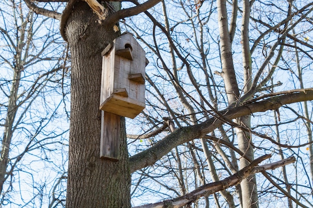 Birdhouse na drzewie w parku w słoneczny jesienny dzień