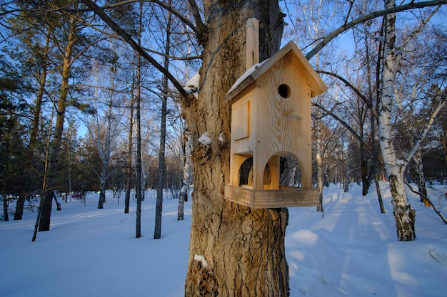 Birdhouse na drzewie w zimowym parku publicznym