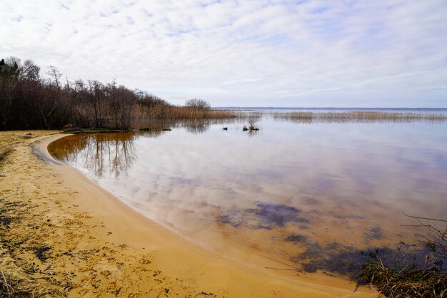 Zdjęcie biscarrosse jezioro maguide z piaszczystą plażą w pochmurny zimowy dzień