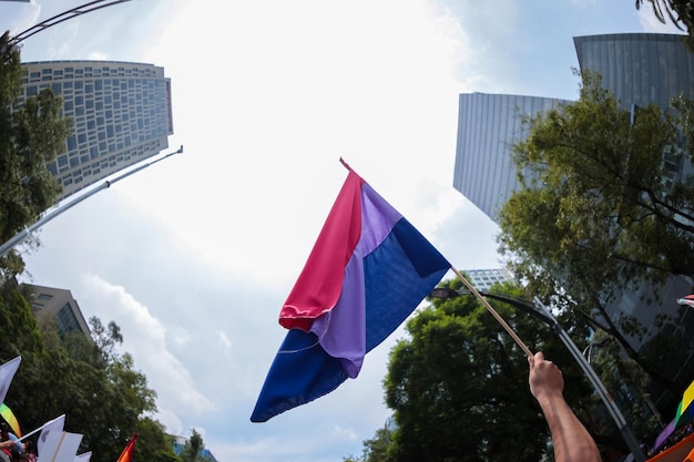 Biseksualna flaga na dorocznej paradzie gejów w Meksyku