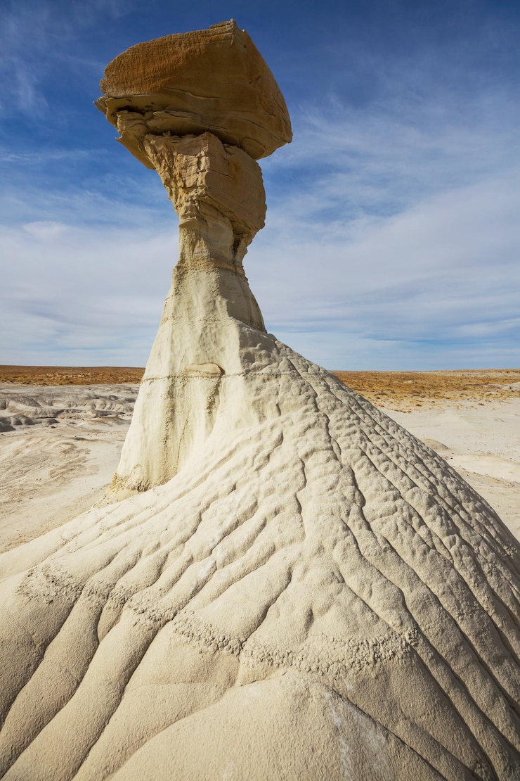 Zdjęcie bisti