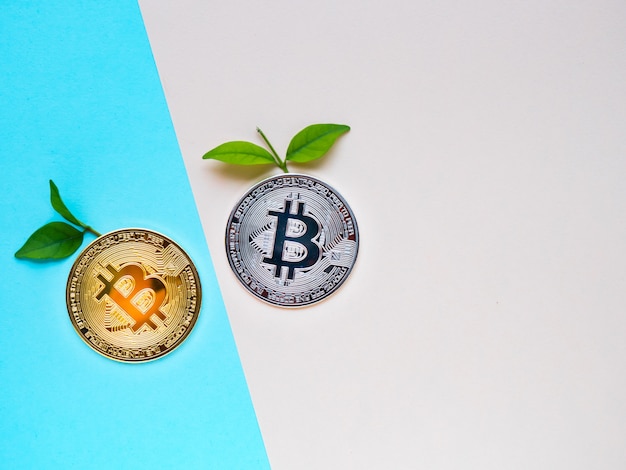 Zdjęcie bitcoiny z liśćmi na niebieskim i różowym tle