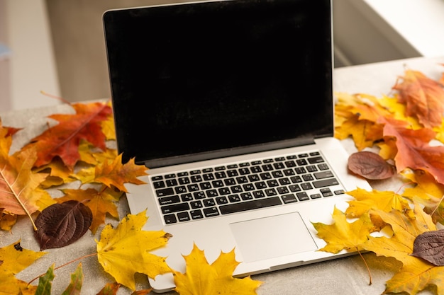 Biurko w biurze domowym z laptopem, jesienne liście na białym tle. Stylowe, płaskie biurko do pracy w domu z laptopem. Koncepcja jesień lub zima. Widok z góry na przytulne biurko.