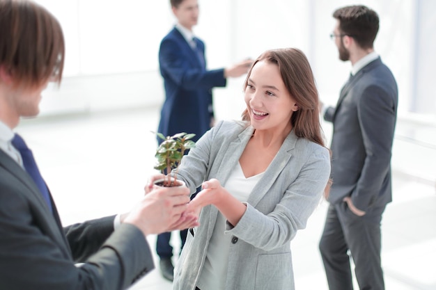 Biznesmen i bizneswoman trzymający garnek z kiełkami