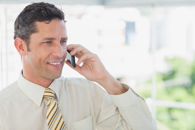 Biznesmen w telefonie