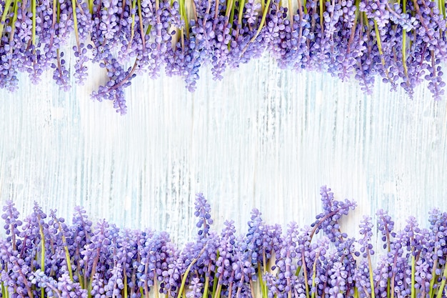 Zdjęcie błękitna muscari kwiatów rama na błękitny drewnianym