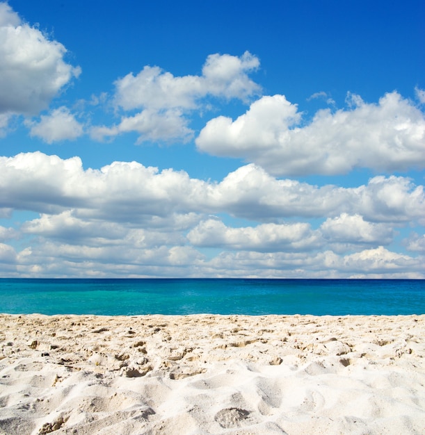 Błękitna plaża nad Morzem Karaibskim