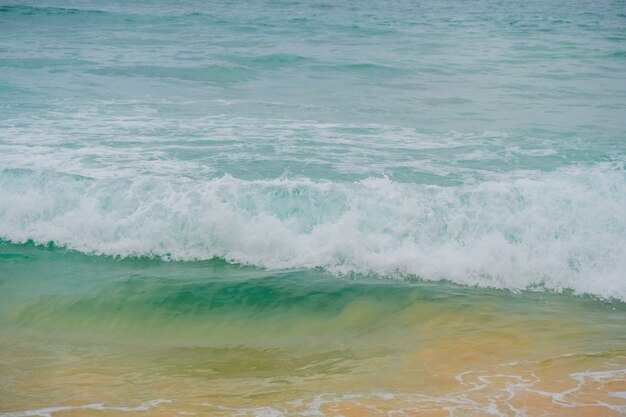 Błękitne fale oceanu i żółty piasek plaży.