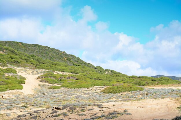 Błękitne niebo nad zielonym wzgórzem w Argentiera Sardinia