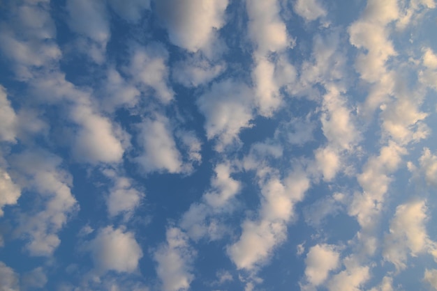 Błękitne niebo z białymi chmurami pochmurne tło Cirrocumulus Altocumulus Stratocumulus chmury błękitne niebo