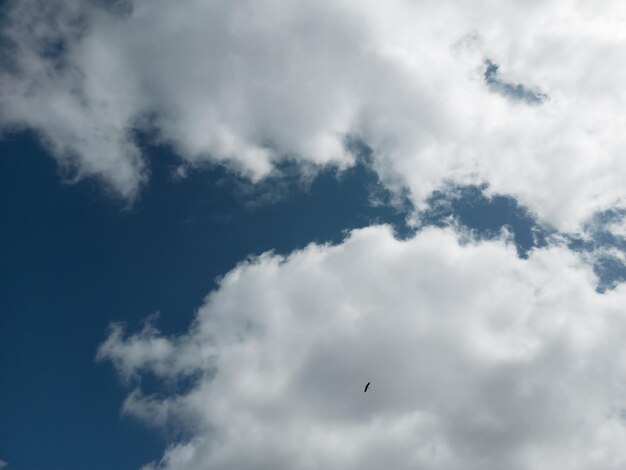 Błękitne niebo z chmurami i sylwetka bociana wysoko w powietrzu