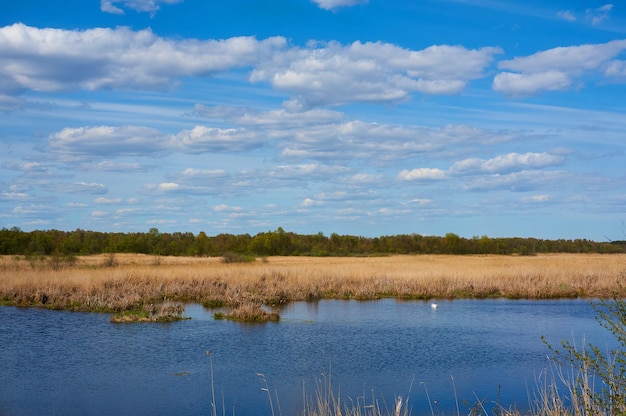 Błękitne piękne niebo z chmurami cirrus na tle jeziora Natura w tle