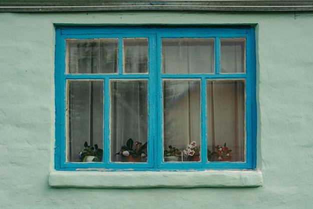 Zdjęcie błękitny drewniany okno stary zielony nieociosany dom z gipsującą ścianą.